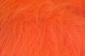Langhåret pels i orange