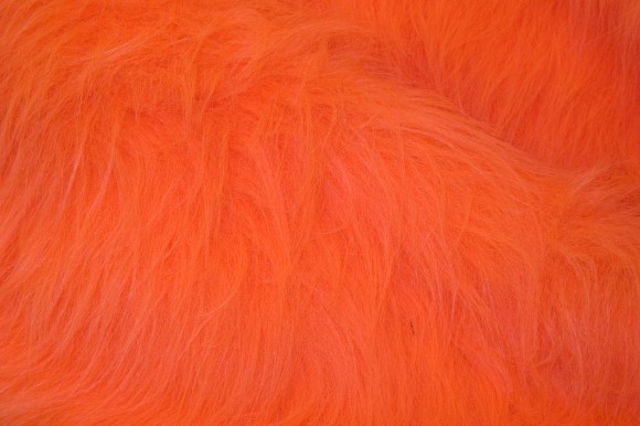Langhåret pels i orange