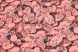 Coralfarvet bomuldsjersey med masser af grise