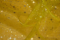 Limefarvet organza med stjernetryk i guld