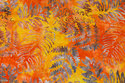 Patchwork bomuld i batik i orange og gule farver med blade