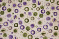 Off white patchwork-bomuld med lilla og grønt mønster