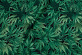 Patchwork-bomuld med grønne  cannabis planter