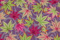 Flot støvlilla patchwork-bomuld med blade i pink og lime
