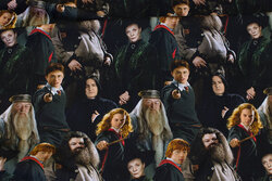 Bomuldsjersey med Harry Potter motiver