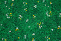 Grøn patchwork-bomuld med græs, små tusindfryd og mælkebøtter