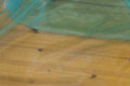 Turkisgrøn organza, transparent
