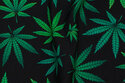 Sort bomuldsjersey med 3-7 cm cannabisblade
